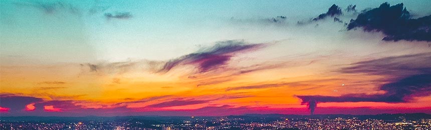 柳林茶虫网_柳林品茶